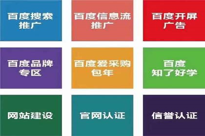 某知名品牌SEM优化托管的策略与成果